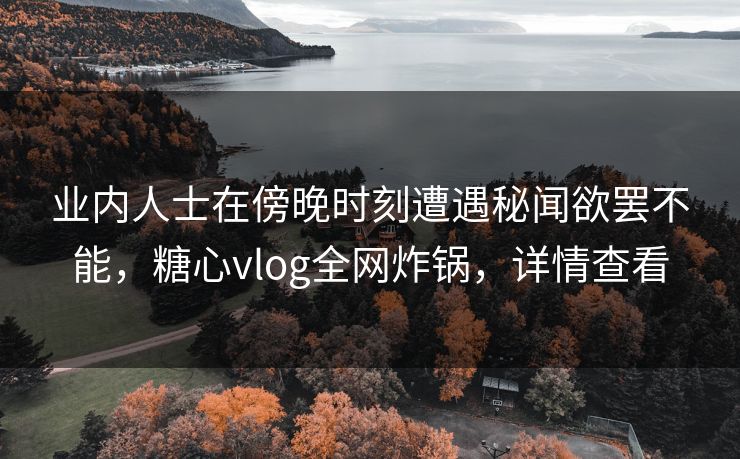 业内人士在傍晚时刻遭遇秘闻欲罢不能，糖心vlog全网炸锅，详情查看