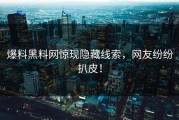 爆料黑料网惊现隐藏线索，网友纷纷扒皮！