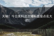 天呐！今日黑料这次爆料直接点名大佬！