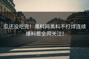 瓜还没吃完！黑料网黑料不打烊连续爆料惹全网关注！
