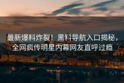 最新爆料炸裂！黑料导航入口揭秘，全网疯传明星内幕网友直呼过瘾