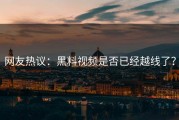 网友热议：黑料视频是否已经越线了？