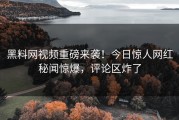 黑料网视频重磅来袭！今日惊人网红秘闻惊爆，评论区炸了