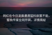 网红在今日凌晨遭遇猛料欲罢不能，蜜桃传媒全网炸锅，详情揭秘
