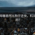 黑料网曝居然比狗仔还快，料从哪来的？