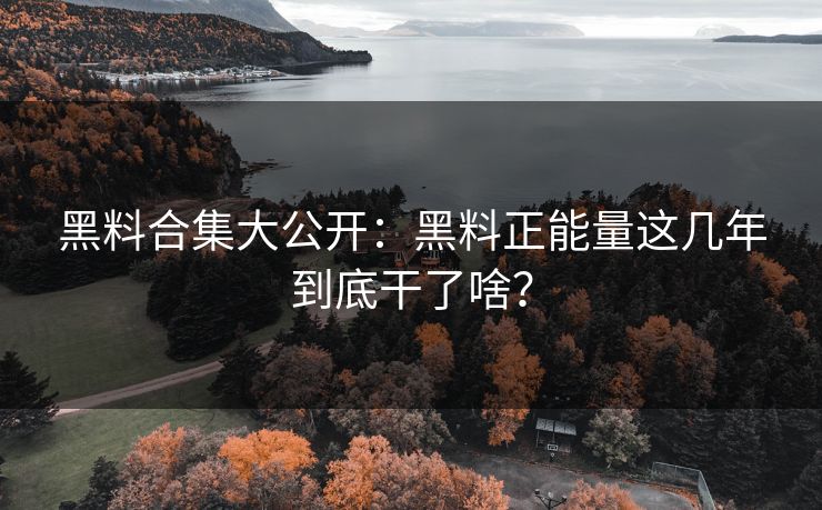 黑料合集大公开：黑料正能量这几年到底干了啥？