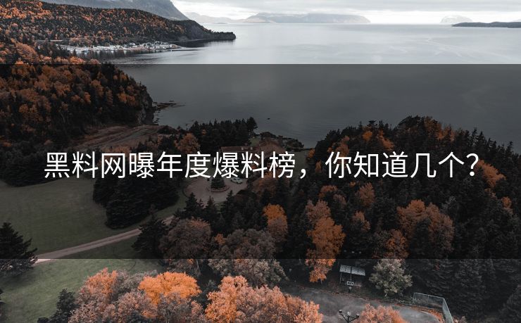 黑料网曝年度爆料榜，你知道几个？