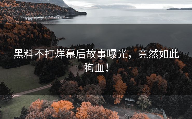 黑料不打烊幕后故事曝光，竟然如此狗血！