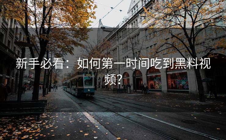 新手必看：如何第一时间吃到黑料视频？