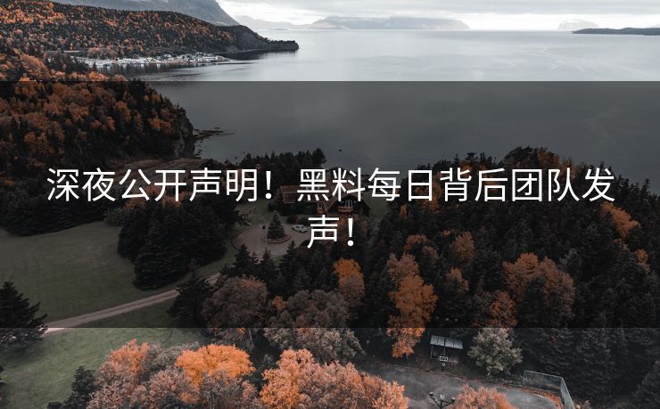 深夜公开声明！黑料每日背后团队发声！