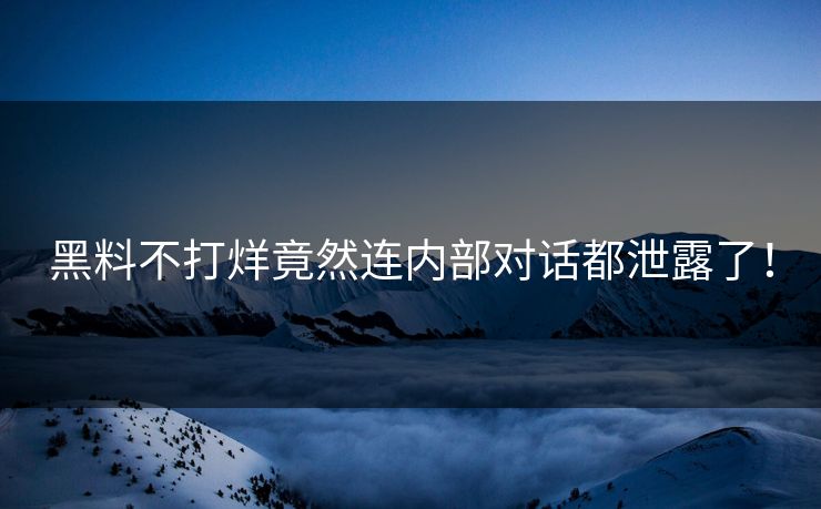 黑料不打烊竟然连内部对话都泄露了！