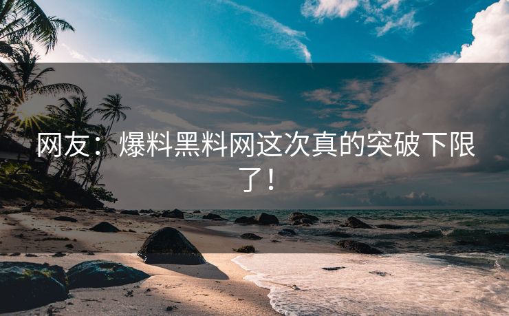 网友：爆料黑料网这次真的突破下限了！