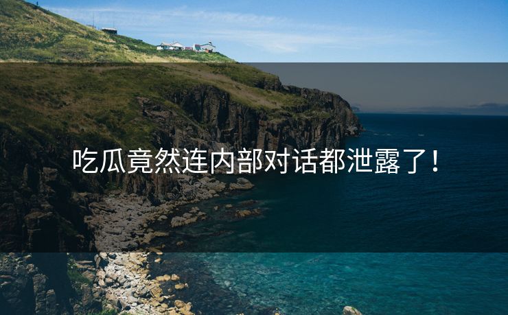 吃瓜竟然连内部对话都泄露了！