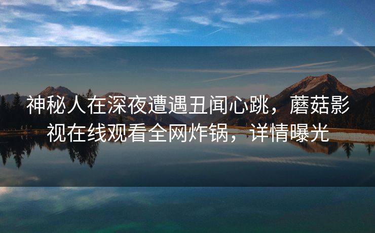 神秘人在深夜遭遇丑闻心跳，蘑菇影视在线观看全网炸锅，详情曝光